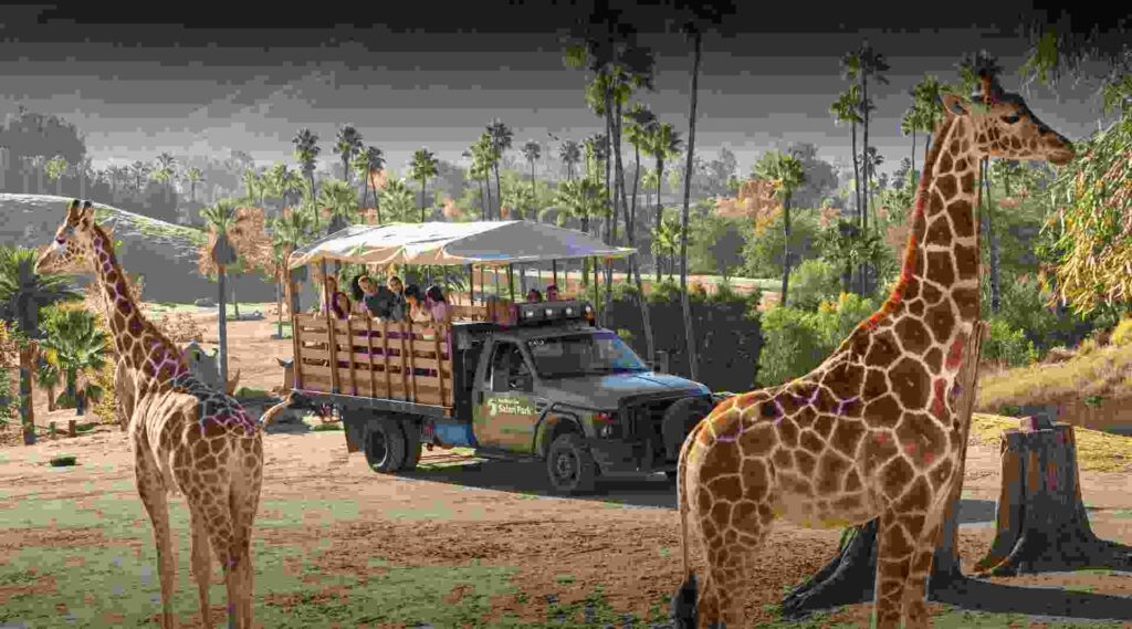 San Diego Zoo safari San Diego Zoo safari