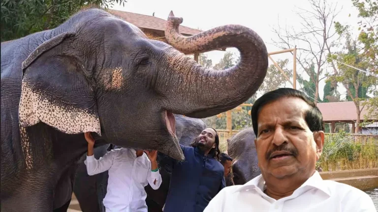 Suryatara Maharashtra