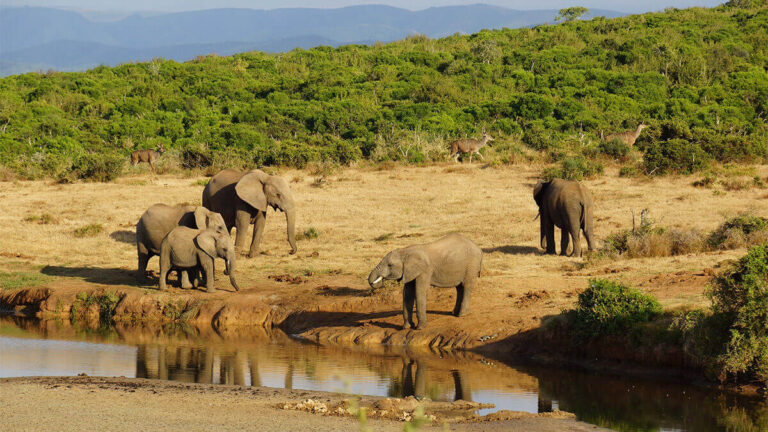 Vantara Jamnagar open for public