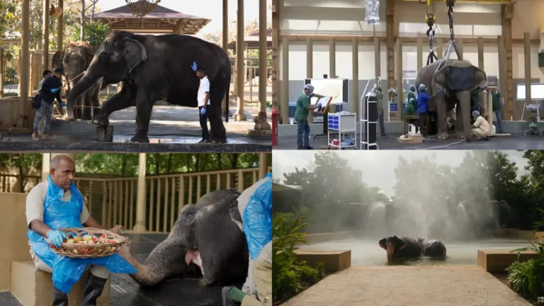 Facilities in Vantara Wildlife Center