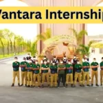 Vantara Internship