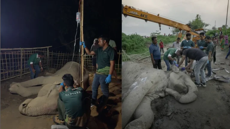 Vantara Rescue Center