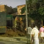 Vantara elephant rescue