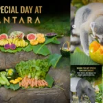 Animals at Vantara
