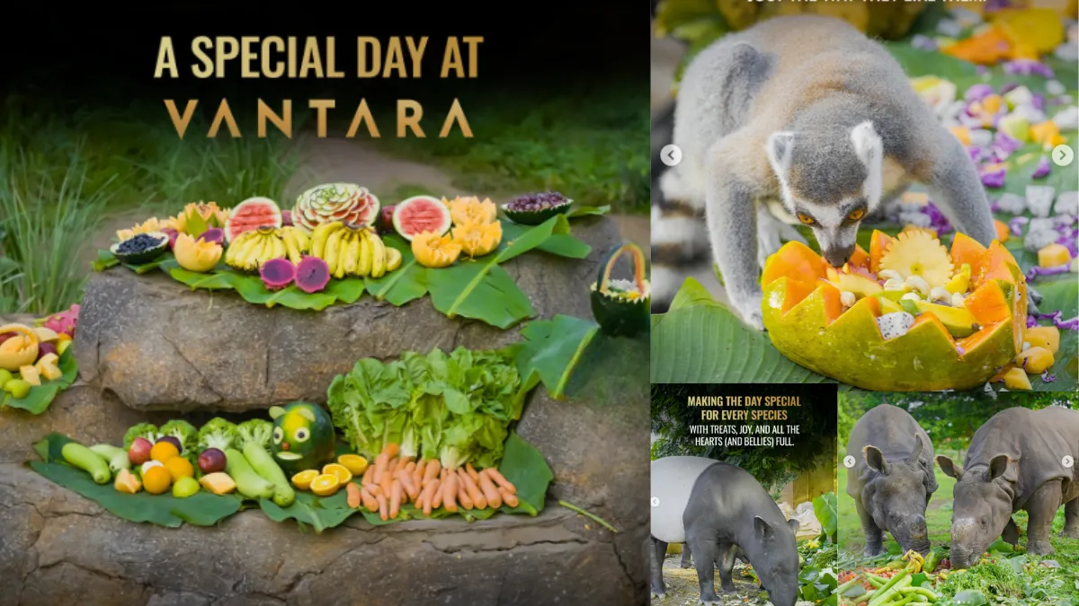 Animals at Vantara