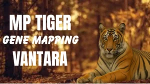 MP Tiger Gene Mapping Vantara