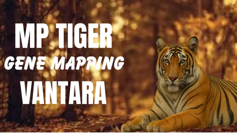 MP Tiger Gene Mapping Vantara
