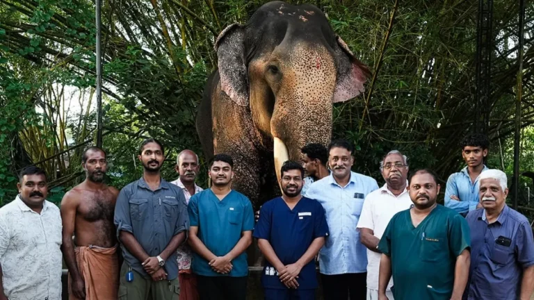 The Incredible Sadhu Story