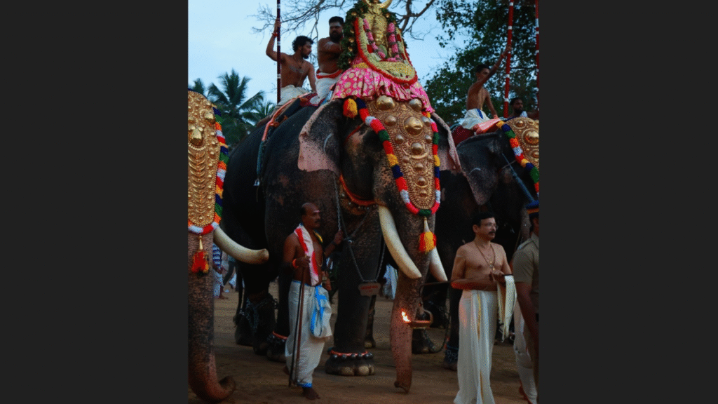 elephant named Puthuppally Sadhu 
